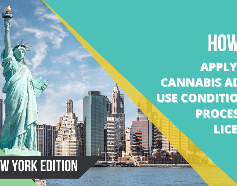 How-to-Apply-For-Cannabis-Adult-Use-Conditional-Processor-License-for-New-York