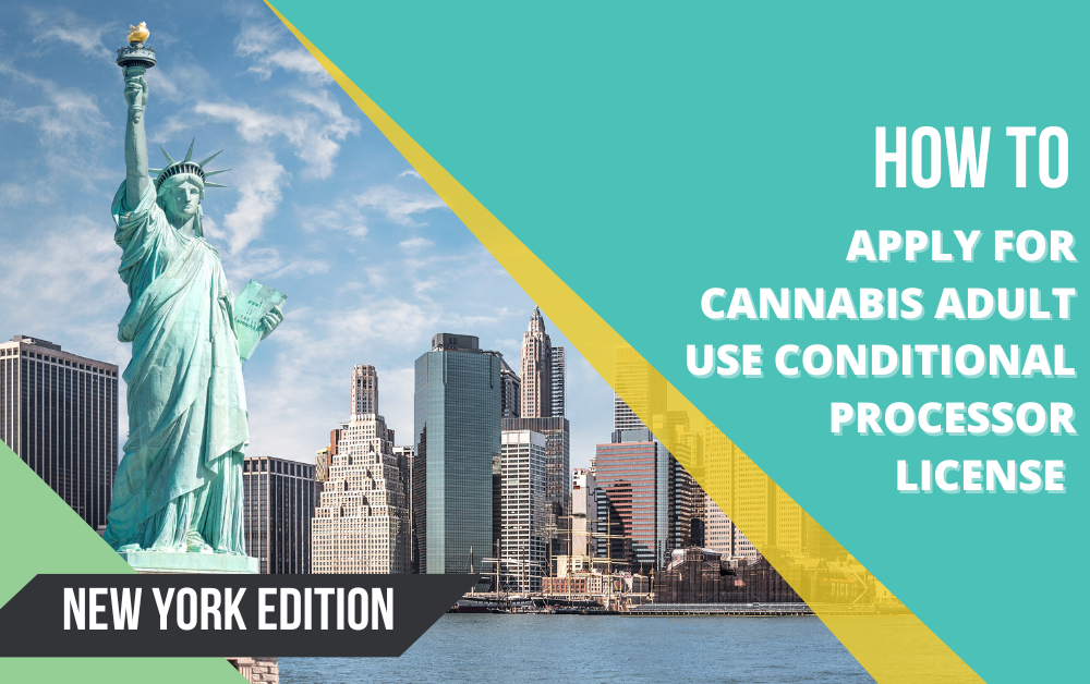Application process for Cannabis Processor Adult Use Conditional License for New York