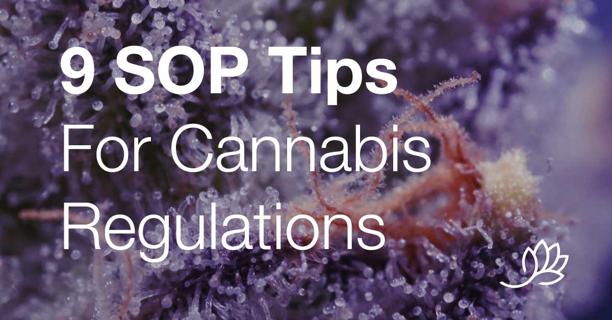 9 SOP tips for cannabis regulations