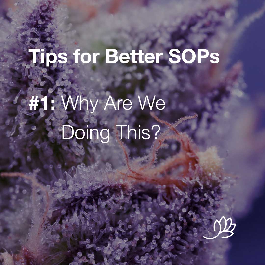 SOP-tips-1-why