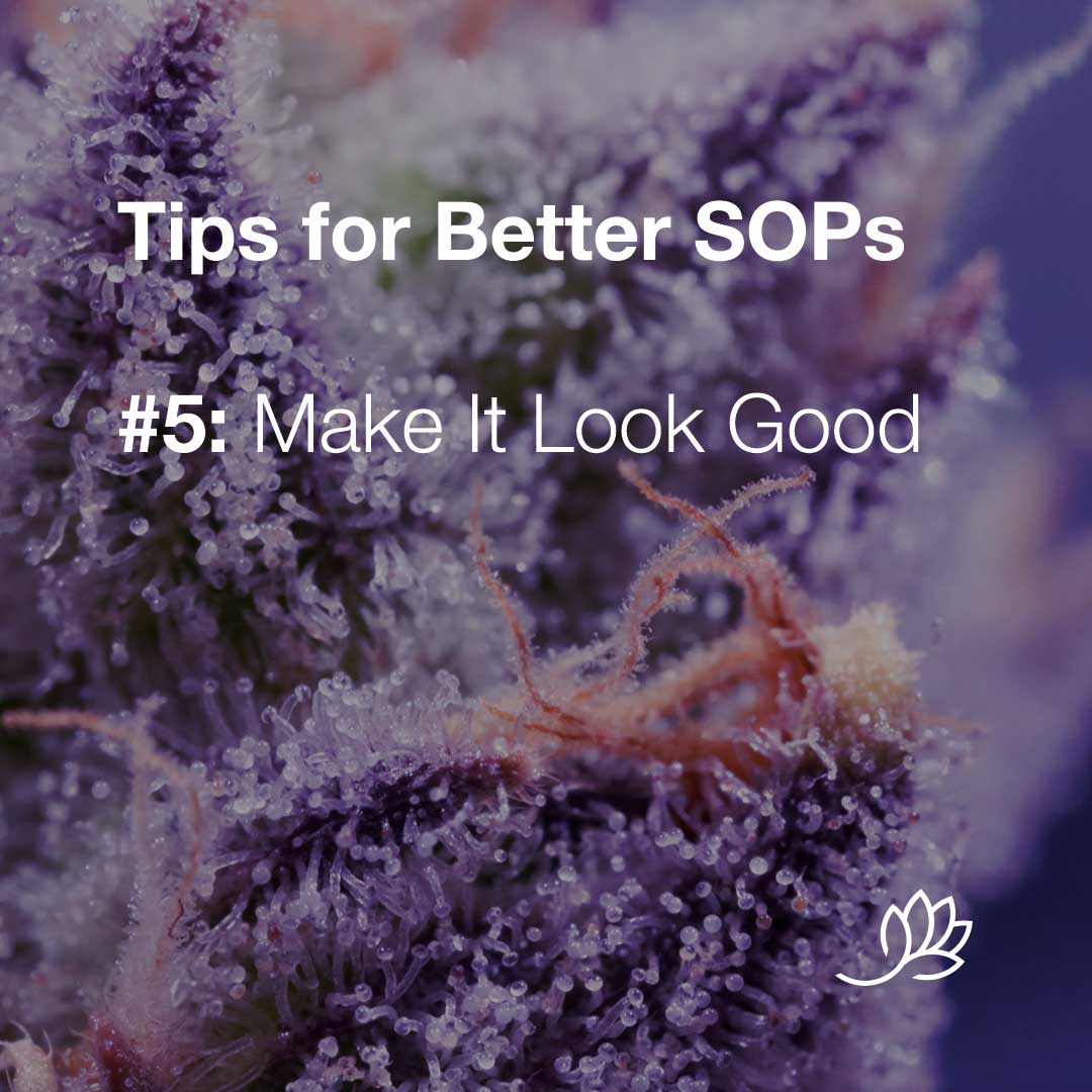 SOP-tips-5-look-good