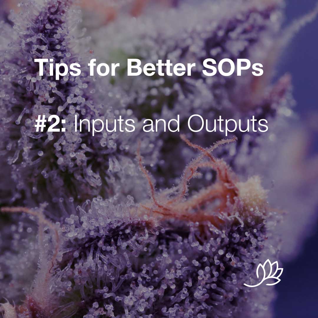 SOP-tips-2