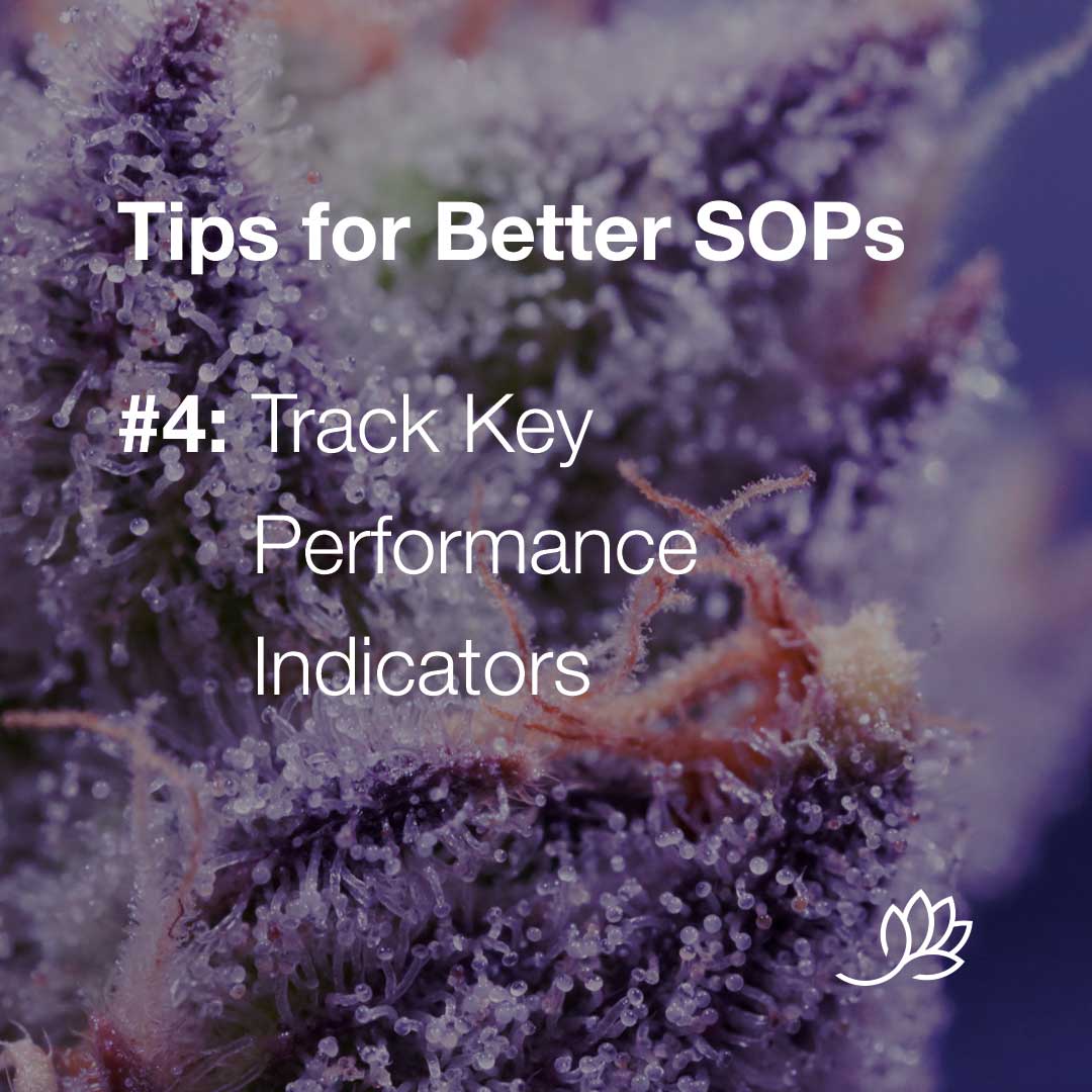 SOP-tips-4