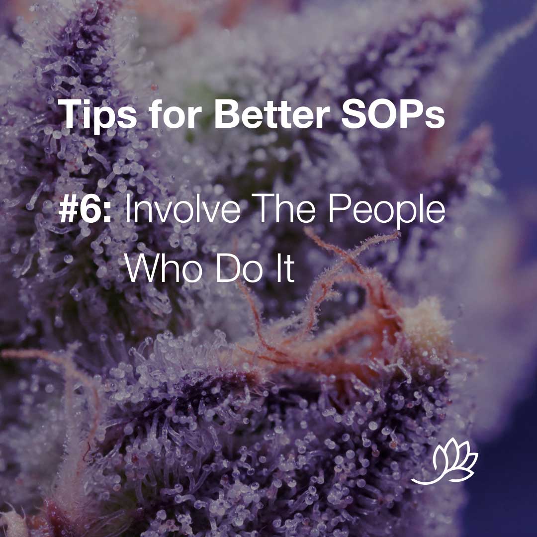 SOP tips - 6