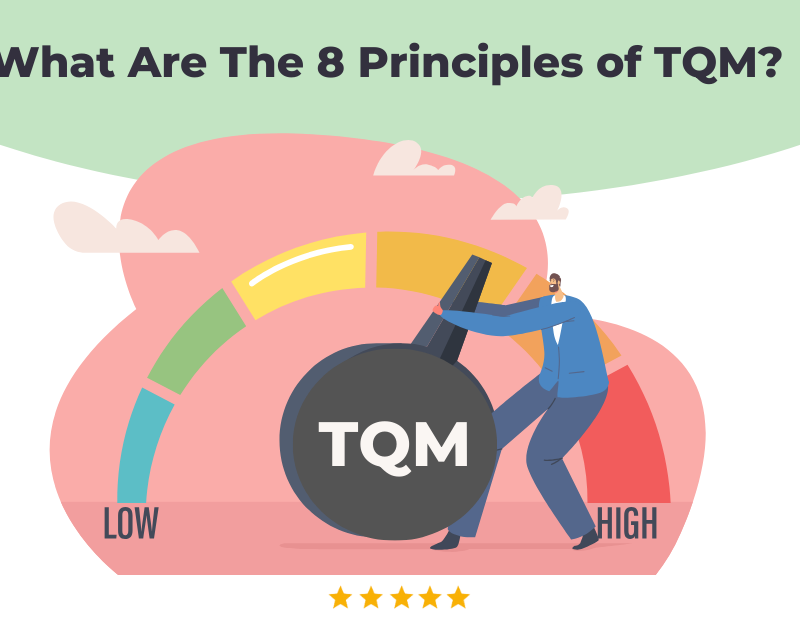 What Are The 8 Principles of TQM
