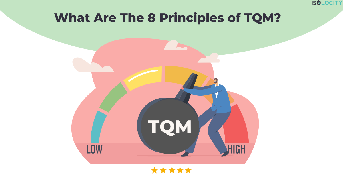 What Are The 8 Principles of TQM?