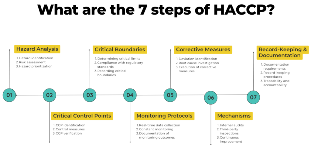 What are the 7 steps of HACCP?