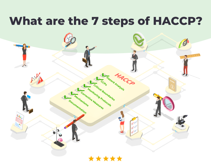 What are the 7 steps of HACCP?